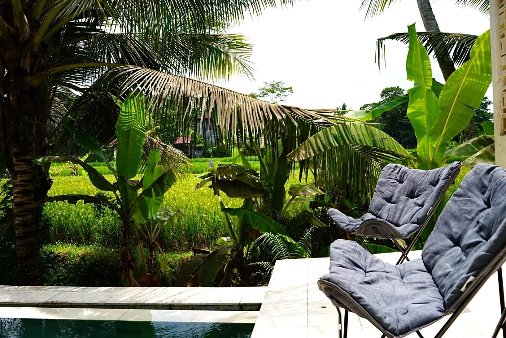 Dzen * Ubud
